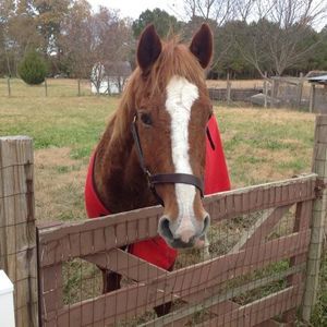 Meet your Posher, Regina